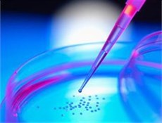 موفقیت محقق ایرانی در جداسازی سلول‌های بنیادی از بافت چربی