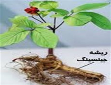 گیاهی با هفت خاصیت درمانی