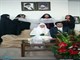 اعلام رسمی طلاق "فرزاد حسنی" از "آزاده نامداری"