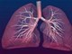 11 واقعیت جالب درباره دستگاه تنفس