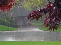 آب شفابخش یا باران اردیبهشتی