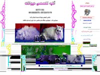 پذیرایی از سگ‌ها با کله‌پاچه در تهران! +تصاویر