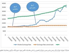 هدفمندی یارانه‌ها دلار را گران کرد؟ +نمودار