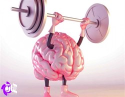 افزایش حجم مغز با ورزش