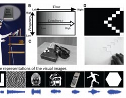 نرم‌افزاری که تصاویر را برای نابینایان به صدا تبدیل می‌کند